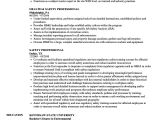 Safety Professional Resume Professional Resume Examples World Of Reference