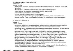 Safety Professional Resume Professional Resume Examples World Of Reference