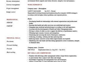 Safety Professional Resume Safety Manager Resume Sample Example Job Description