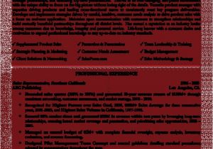 Sales Professional Resume Template Management Professional Resume