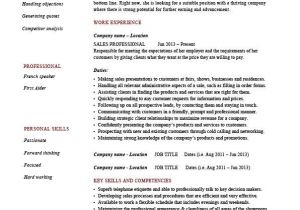 Sales Professional Resume Template Sales Professional Resume Example Sample Job
