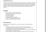 Sales Representative Resume Sample Independent Sales Representative Resume Template Best