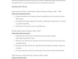 Sales Representative Resume Word format Sample Sales Representative Resume 6 Examples In Word Pdf