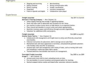 Sales Resume Sample Best Sales Freight associate Resume Example From