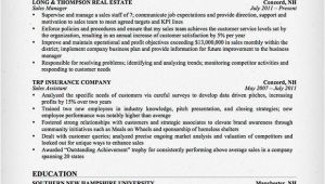 Sales Resume Sample Salesperson Marketing Cover Letters Resume Genius