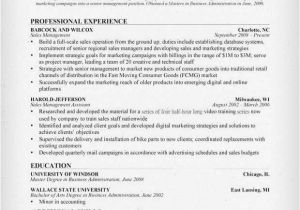 Sales Resume Templates Free Sales Manager Resume Templates Free Excel Templates