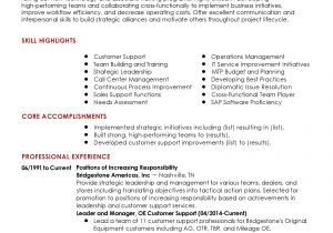 Sample Achievements In Resume for Experienced Professional Customer Success Manager Templates to