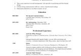 Sample Basic Resume Examples Basic Resume Samples Examples Templates 8 Documents