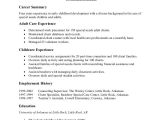 Sample Basic Resume Examples Basic Resume Samples Examples Templates 8 Documents
