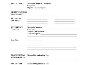 Sample Blank Resume 7 8 Resume Blank format Pdf Resumename Com