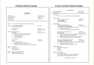 Sample College Freshman Resume 13 Freshman College Resume Examples Invoice Template