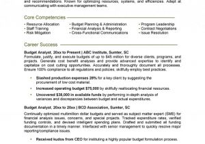 Sample Federal Budget Analyst Resume Budget Analyst Resume