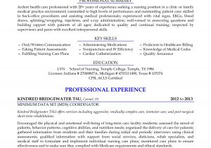Sample Lpn Resume Objective Licensed Practical Nurse Seeking Nursing Position Resume