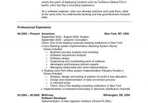 Sample Net Resumes for Experienced Resume Experience Free Excel Templates