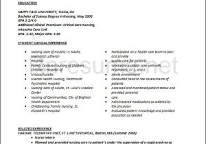 Sample New Grad Nursing Resume Rn Resume Bag the Web