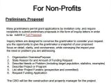 Sample Non Profit Grant Proposal Templates Writing A Business Plan for A Non Profit How to Write An