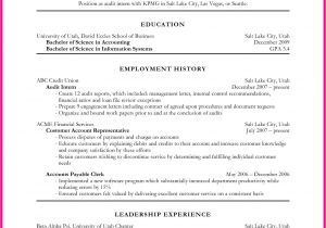 Sample Objectives for Resume 15 New Resume Objective Samples Resume Sample Ideas