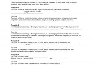 Sample Objectives for Resume Sample Objective for Resume Whitneyport Daily Com