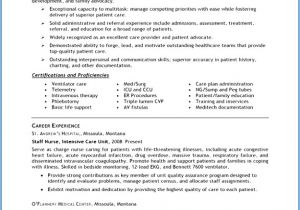 Sample Of Comprehensive Resume for Nurses Resume Examples for High School Students with No Work