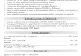 Sample Of Good Resume Examples Of Good Resumes that Get Jobs