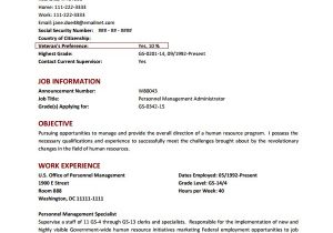 Sample Of Personal Information In Resume Federal Resume Template 8 Free Word Excel Pdf format