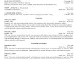Sample Of Personal Information In Resume Resume Personal Information Ideal Vistalist Co