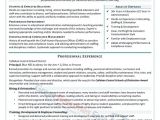 Sample Of Professional Resume Executive Resume Samples Professional Resume Samples