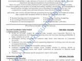 Sample Of Professional Resume Professional Analyst Resume Sample Real Resume Help