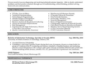 Sample Of Professional Resume Resume Sample Professional Best Resume Gallery