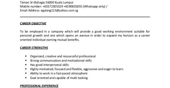 Sample Of Resume for Sales Lady Sales Lady Resume Resume Ideas