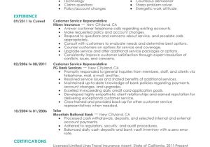 Sample Of Resume Template Free Basic Resume Examples Resume Builder
