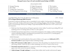 Sample Of Resume Template Marketing Resume Template Health Symptoms and Cure Com