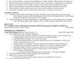 Sample Of Skills and Qualifications for A Resume Best Summary Of Qualifications Resume for 2016