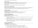 Sample Of Work Experience In Resume Resume Example Ii Limited Work Experience