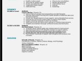 Sample Pics Of Resumes Nice Resume Examples