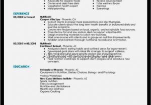 Sample Pics Of Resumes Nice Resume Examples