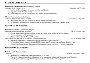 Sample Pics Of Resumes Resume Samples Uva Career Center