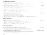 Sample Pics Of Resumes Sample Of Resumes for Jobs 2018 2019 Studychacha