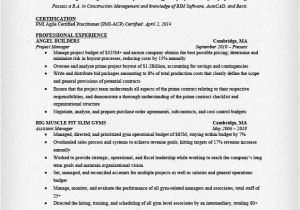Sample Project List for Resume Project Manager Resume Sample Writing Guide Rg