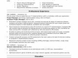 Sample Project List for Resume Sample Resume for A Midlevel It Project Manager Monster Com