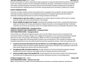 Sample Resume Examples Management Resume Sample Healthcare Industry