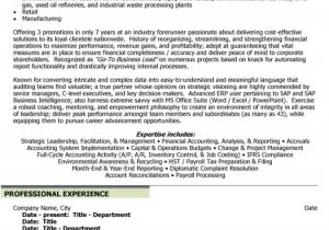 Sample Resume Financial Controller Position Chief Financial Officer Resume Sample Template