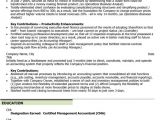 Sample Resume Financial Controller Position Groovy Essays Custom Essay Writing Services Uk Sample