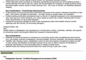 Sample Resume Financial Controller Position Groovy Essays Custom Essay Writing Services Uk Sample