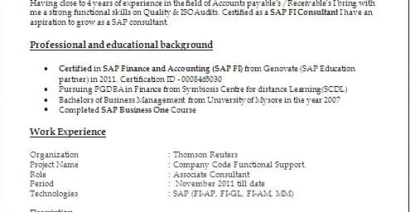 Sample Resume for 2 Years Experience In Net Sample Resume for 2 Years Experience In Net New Sap Bi