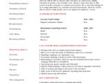 Sample Resume for A Call Center Agent Call Center Resume Example 9 Free Word Pdf Documents