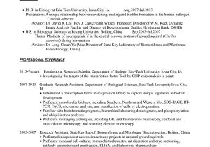 Sample Resume for Biology Major Curriculum Vitae Curriculum Vitae Template Biology