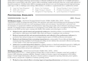 Sample Resume for Business Analyst In Banking Domain Business Analyst In Banking Domain Resume Nppusa org