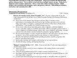 Sample Resume for Call Center Agent Applicant 13 New Sample Call Center Agent Resume Resume Sample