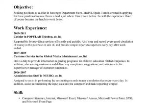 Sample Resume for Cashier Retail Stores Cashier Resume Sample Sample Resumes